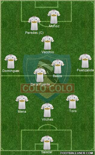 CSD Colo Colo Formation 2013