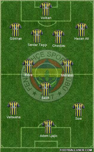 Fenerbahçe SK Formation 2013