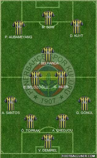 Fenerbahçe SK Formation 2013