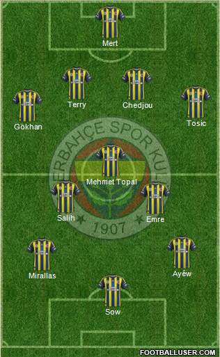 Fenerbahçe SK Formation 2013