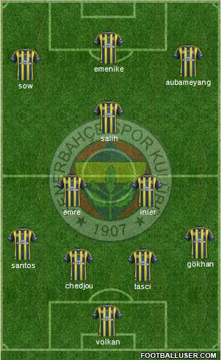 Fenerbahçe SK Formation 2013