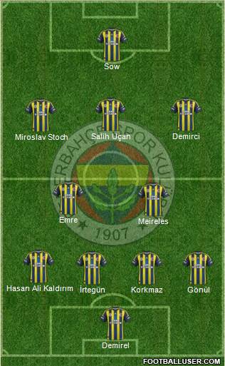 Fenerbahçe SK Formation 2013