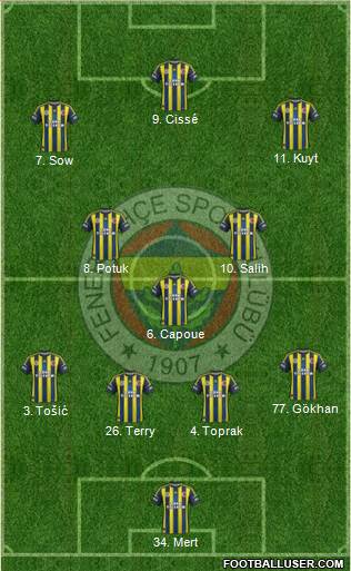 Fenerbahçe SK Formation 2013