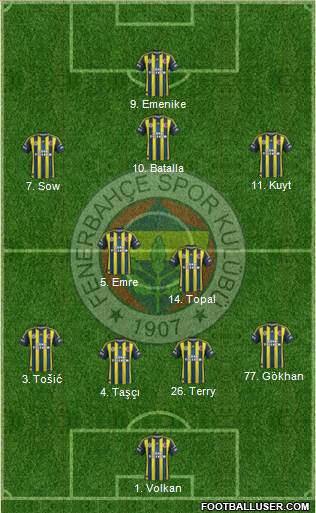 Fenerbahçe SK Formation 2013