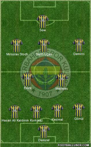 Fenerbahçe SK Formation 2013