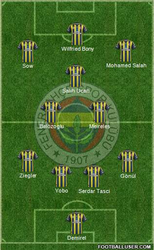Fenerbahçe SK Formation 2013