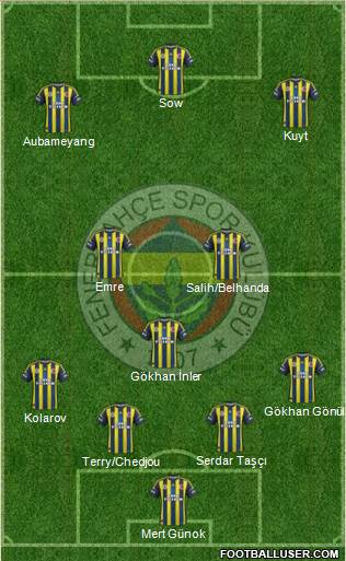 Fenerbahçe SK Formation 2013