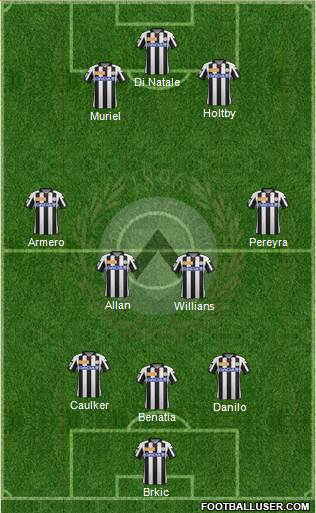 Udinese Formation 2013
