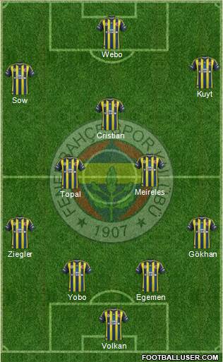 Fenerbahçe SK Formation 2013