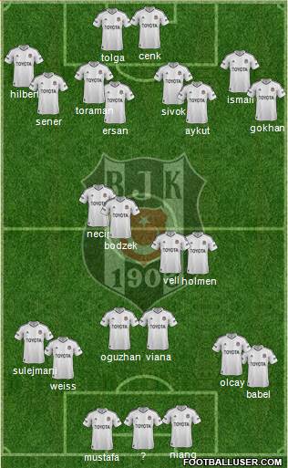 Besiktas JK Formation 2013