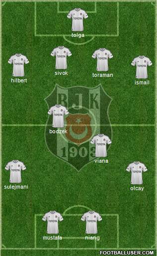 Besiktas JK Formation 2013