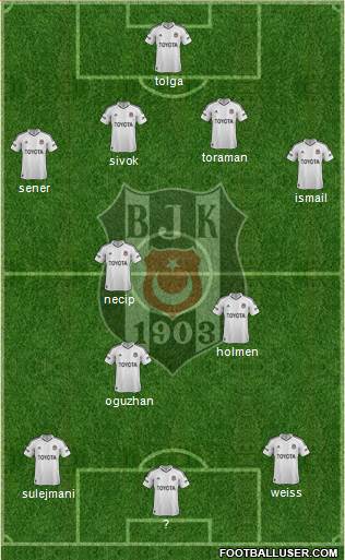 Besiktas JK Formation 2013