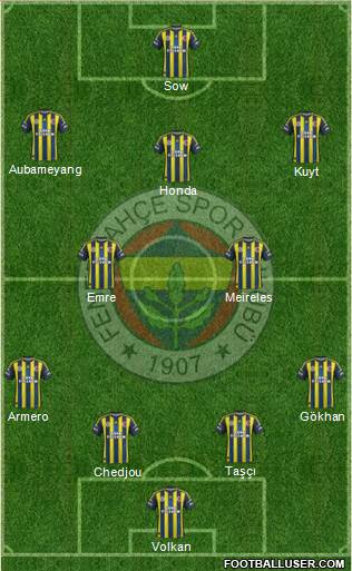 Fenerbahçe SK Formation 2013