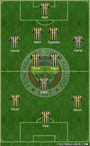 Fenerbahçe SK Formation 2013