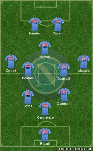 Napoli Formation 2013