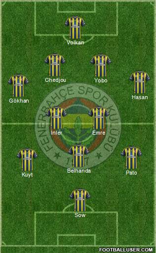 Fenerbahçe SK Formation 2013