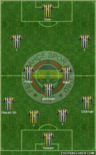 Fenerbahçe SK Formation 2013