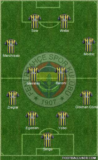 Fenerbahçe SK Formation 2013