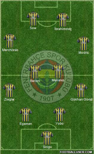 Fenerbahçe SK Formation 2013