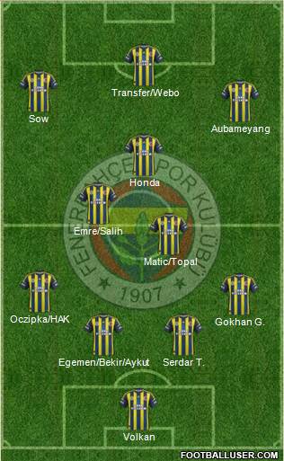Fenerbahçe SK Formation 2013