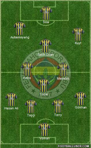 Fenerbahçe SK Formation 2013