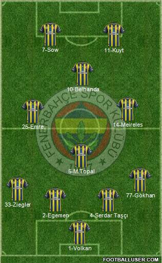 Fenerbahçe SK Formation 2013