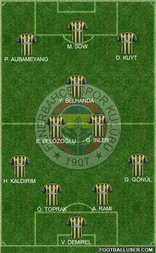 Fenerbahçe SK Formation 2013