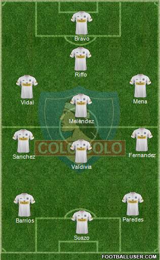 CSD Colo Colo Formation 2013
