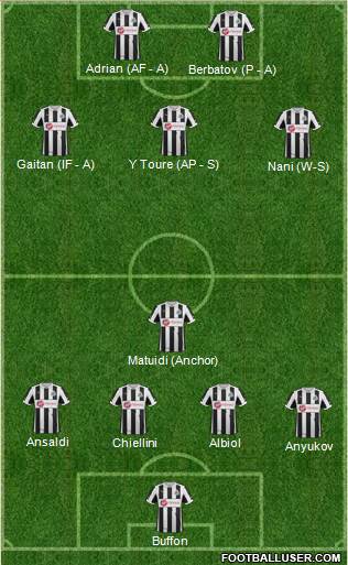 Newcastle United Formation 2013