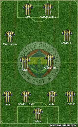 Fenerbahçe SK Formation 2013