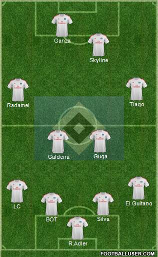 Hamburger SV Formation 2013