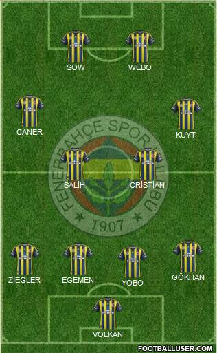 Fenerbahçe SK Formation 2013