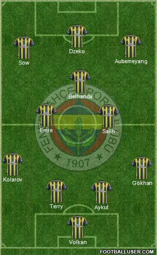 Fenerbahçe SK Formation 2013