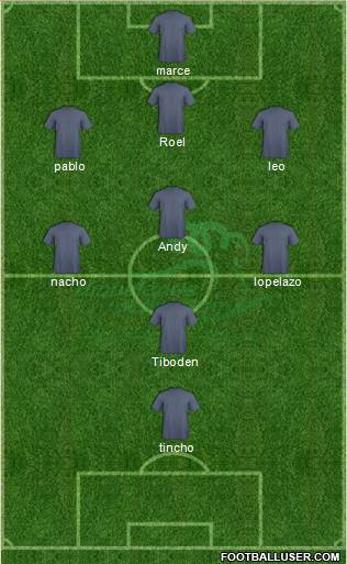 Woodlands Wellington FC Formation 2013