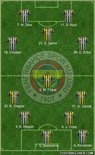 Fenerbahçe SK Formation 2013