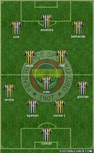 Fenerbahçe SK Formation 2013