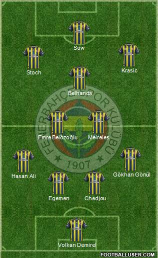 Fenerbahçe SK Formation 2013