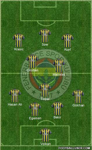 Fenerbahçe SK Formation 2013