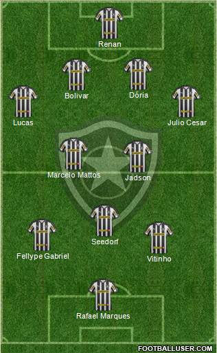 Botafogo FR Formation 2013
