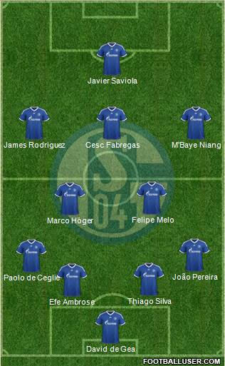 FC Schalke 04 Formation 2013