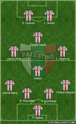 CD Palestino S.A.D.P. Formation 2013