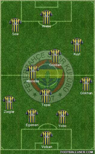 Fenerbahçe SK Formation 2013