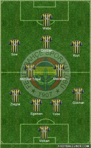 Fenerbahçe SK Formation 2013