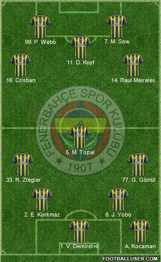 Fenerbahçe SK Formation 2013