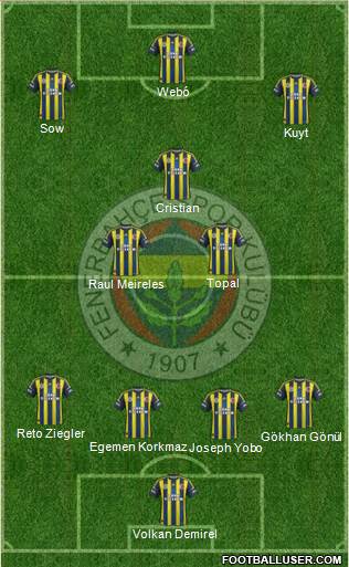 Fenerbahçe SK Formation 2013