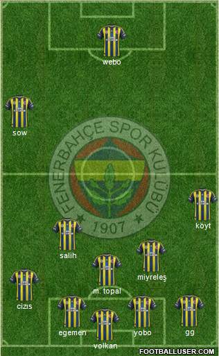 Fenerbahçe SK Formation 2013