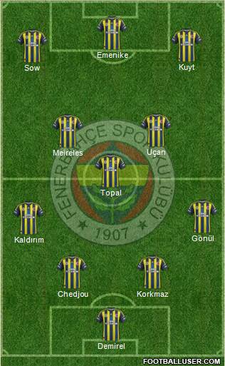 Fenerbahçe SK Formation 2013