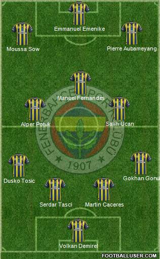 Fenerbahçe SK Formation 2013