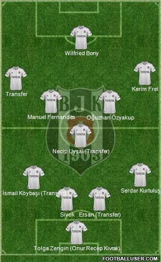 Besiktas JK Formation 2013