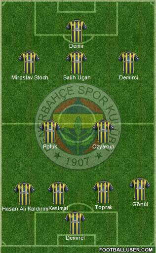 Fenerbahçe SK Formation 2013